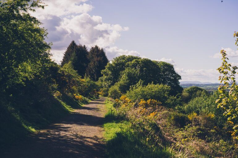 Gleniffer Braes Country Park in the summer