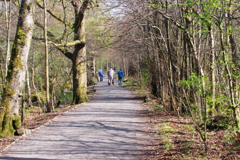 Walking trail at RSPB Lochwinnoch nature reserve in Renfrewshire