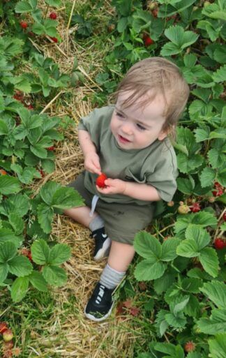 Toddler sits in between green strawberry plants holding a big red strawberry