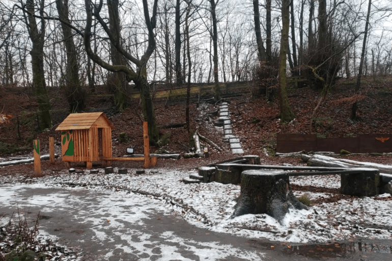 Lochwinnoch Nature Reserve in the snow